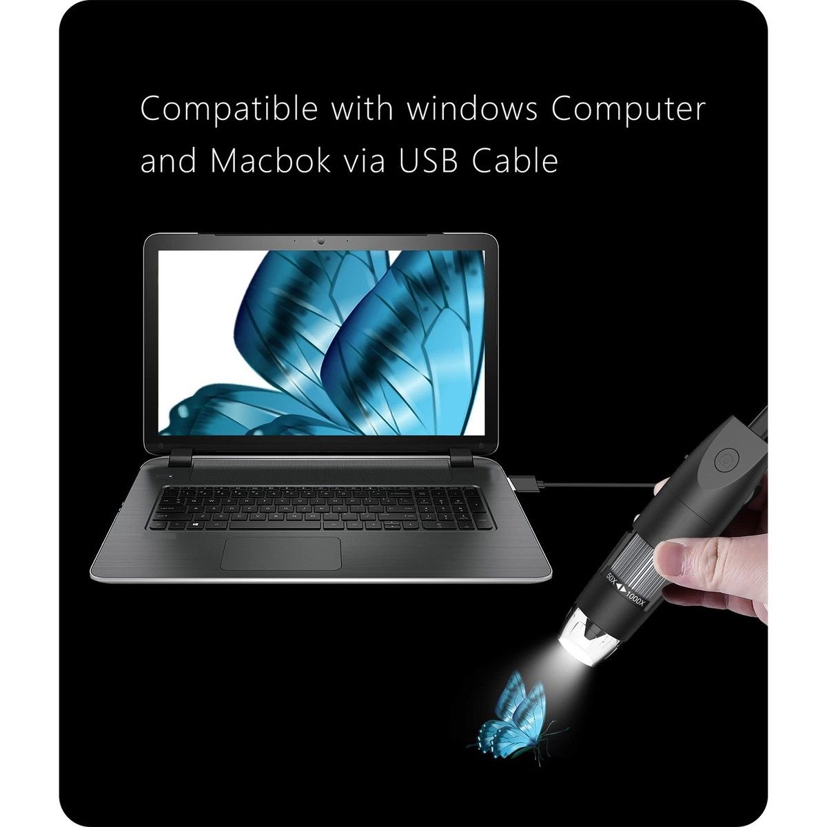 https://img.bestdeals.co.nz/products_pictures/680/68040_648338_F.jpg