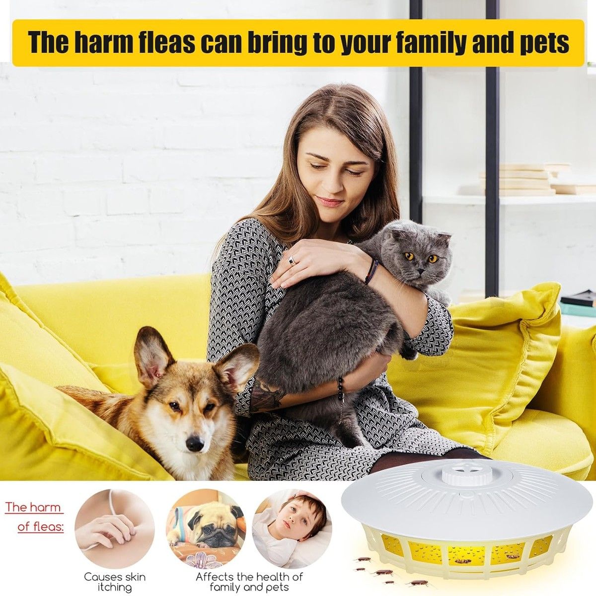 https://img.bestdeals.co.nz/products_pictures/687/68797_655297_F.jpg