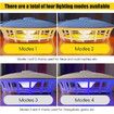 4 in 1 Cordless Flea Traps for Flea Gnat Roach