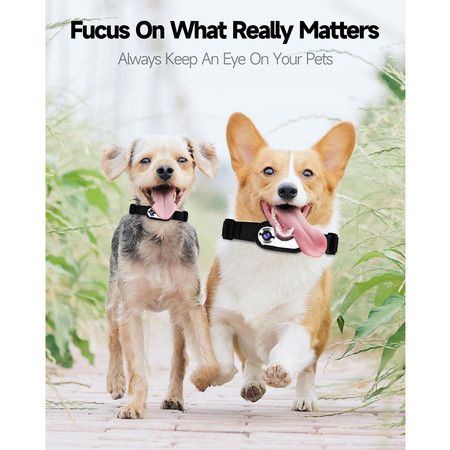 https://img.bestdeals.co.nz/products_pictures/688/68848_655935_F.jpg