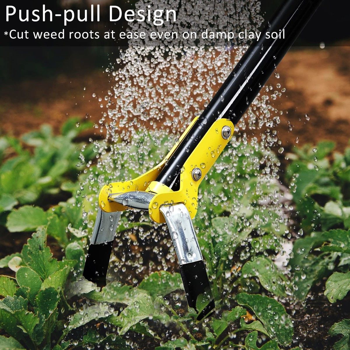 https://img.bestdeals.co.nz/products_pictures/688/68868_656125_F.jpg