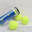 3 Pcs Dog Fetch Pet Toy Bulk Tennis Balls for Small Dogs and Cats, Green, Standard Size