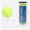 3 Pcs Dog Fetch Pet Toy Bulk Tennis Balls for Small Dogs and Cats, Green, Standard Size