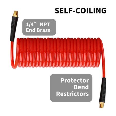 https://img.bestdeals.co.nz/products_pictures/689/68937_656752_F.jpg