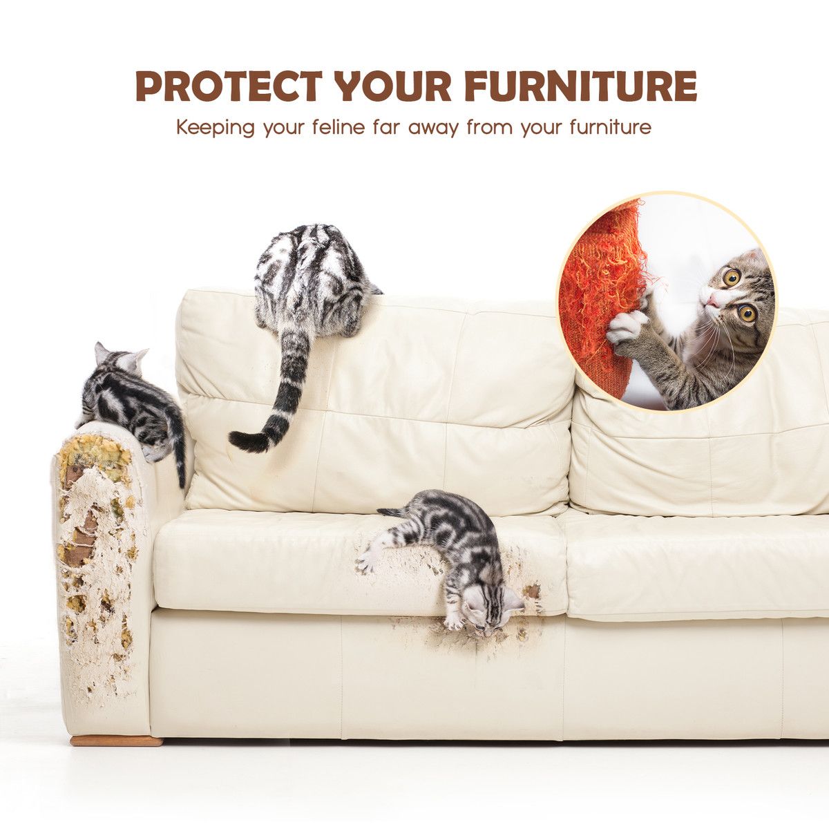 https://img.bestdeals.co.nz/products_pictures/689/68965_657048_F.jpg