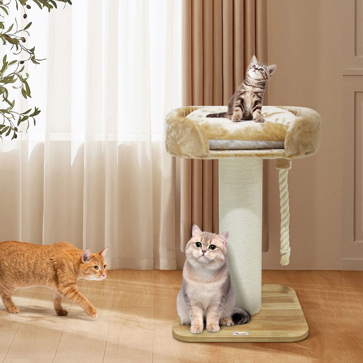 https://img.bestdeals.co.nz/products_pictures/689/68965_657049_F.jpg