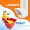Chicken Bird Feeder Waterer Set Automatic Water Dispenser Poultry Coop 3KG Food 4L Drinker Kit Auto Aviary Chook Chick Hen Quail Drinking Cup