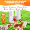 Chicken Bird Feeder Waterer Set Automatic Water Dispenser Poultry Coop 3KG Food 4L Drinker Kit Auto Aviary Chook Chick Hen Quail Drinking Cup