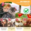 Chicken Bird Feeder Waterer Set Automatic Water Dispenser Poultry Coop 3KG Food 4L Drinker Kit Auto Aviary Chook Chick Hen Quail Drinking Cup