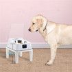 Automatic Smart Cat Feeder Bowl Sensitive Open Cover Pet Feeder  IR Induction for Pet with a 168mm Holder