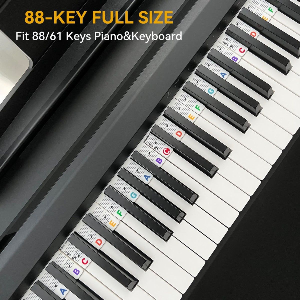 https://img.bestdeals.co.nz/products_pictures/690/69007_657561_F.jpg