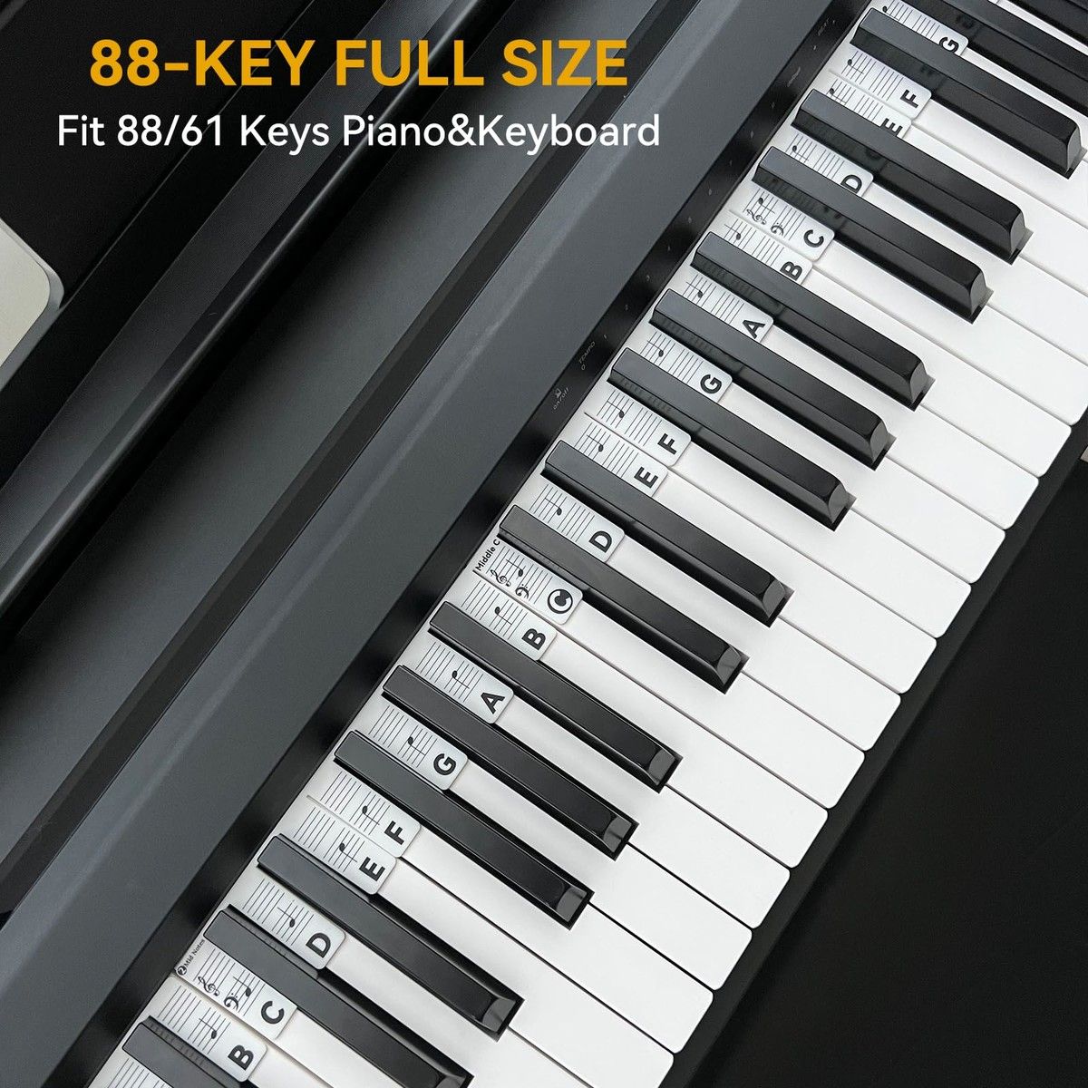 https://img.bestdeals.co.nz/products_pictures/690/69008_657565_F.jpg