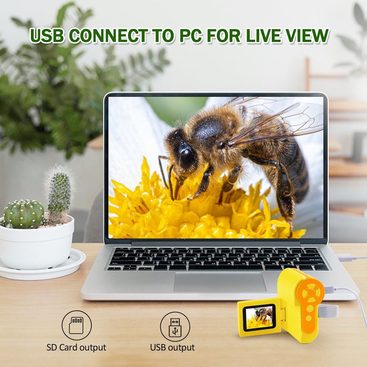 https://img.bestdeals.co.nz/products_pictures/690/69098_658480_F.jpg
