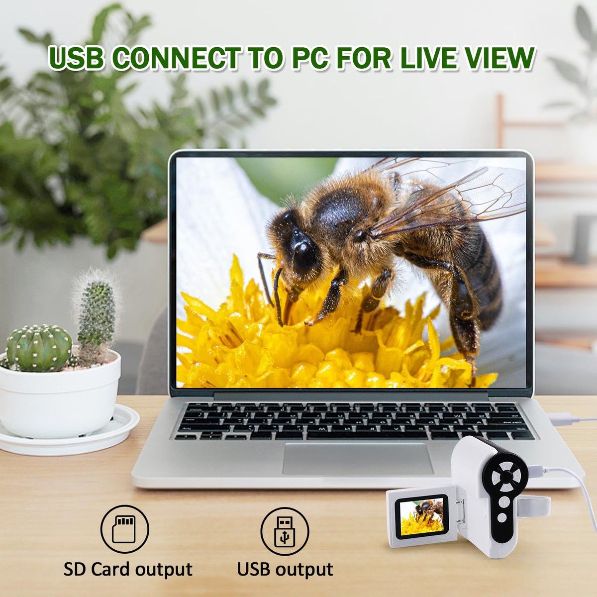https://img.bestdeals.co.nz/products_pictures/690/69099_658498_F.jpg
