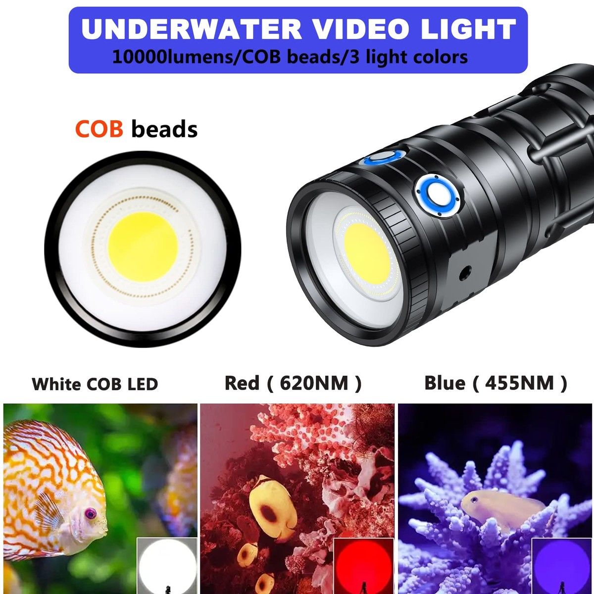 https://img.bestdeals.co.nz/products_pictures/692/69295_660591_F.jpg