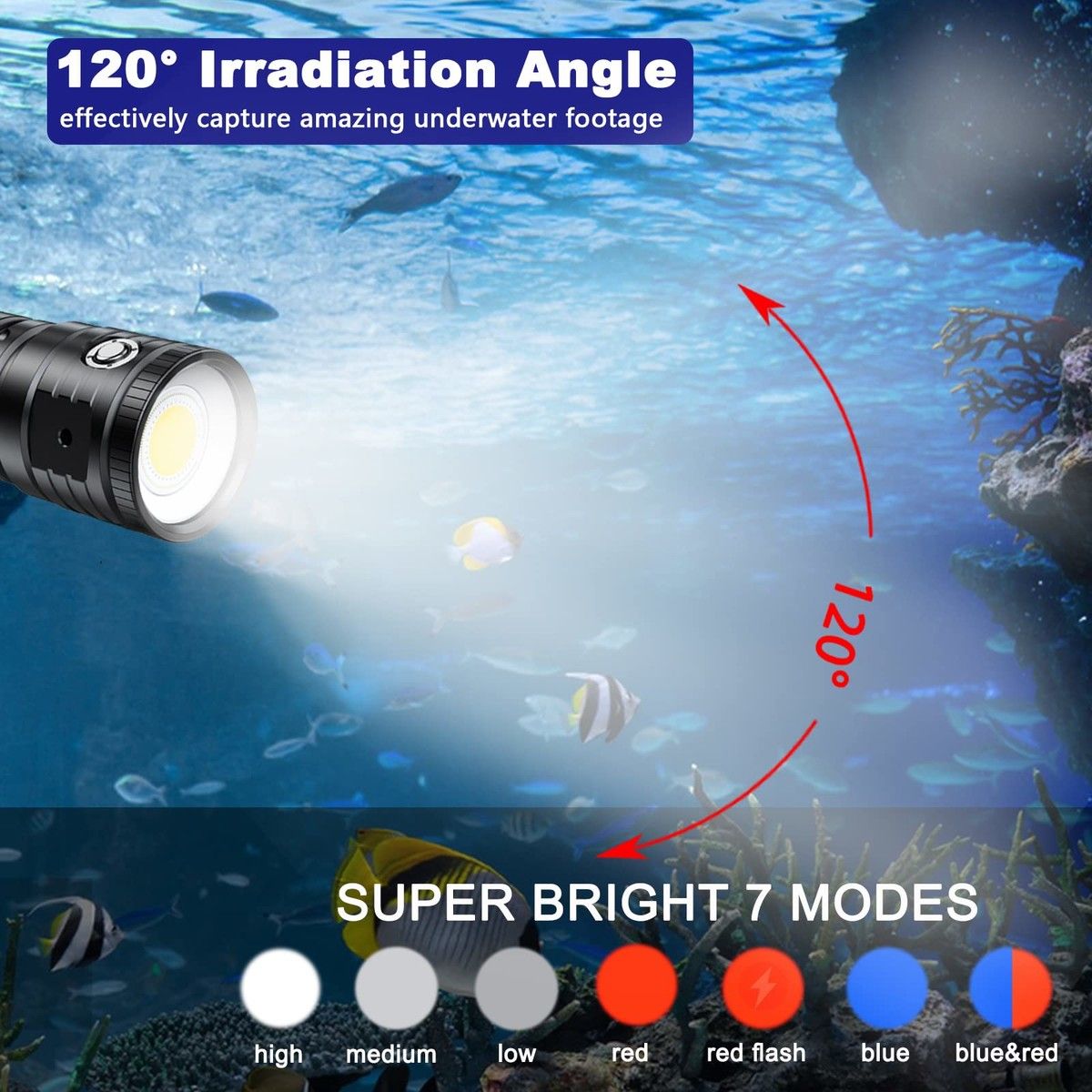 https://img.bestdeals.co.nz/products_pictures/692/69295_660592_F.jpg