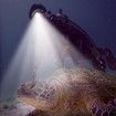 Dive Lights Scuba Diving Headlight IPX8 Waterproof Dive Headlamp - 3 Modes Underwater Flashlight for Diving