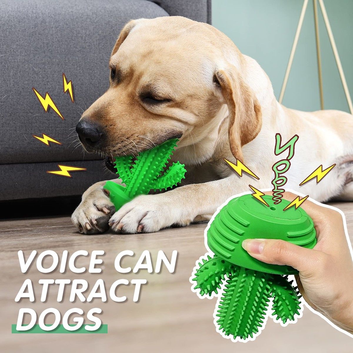 https://img.bestdeals.co.nz/products_pictures/695/69526_663040_F.jpg