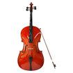 Full Size 4/4 Cello Instrument Beginner Student Cellist Musical Outfits High Lustre Varnish Solid Wood Bridge Strings Bow with Carrying Case