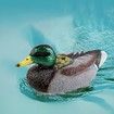 RC Boat Electric Duck Boats 2.4Ghz Hunting Motion Remote Control Duck Ships Waterproof for Swimming Pool