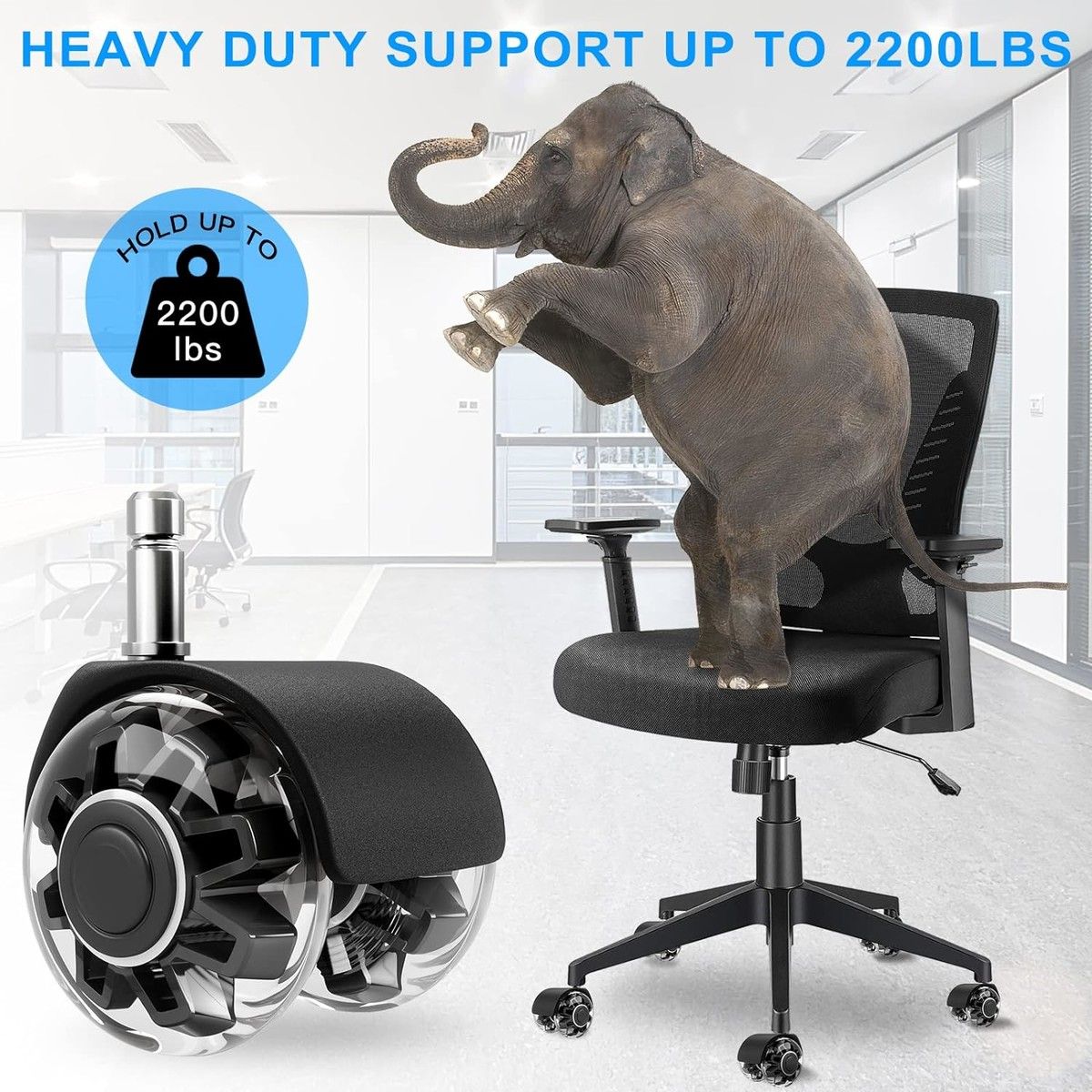 https://img.bestdeals.co.nz/products_pictures/695/69588_663648_F.jpg
