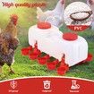 Chicken Water Feeder Auto Chick Waterer Automatic Poultry Dispenser Drinker Hen Watering System Chook Gravity Fed 10 PVC Feeding Cups 10L with Stands