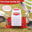 Chicken Water Feeder Auto Chick Waterer Automatic Poultry Dispenser Drinker Hen Watering System Chook Gravity Fed 10 PVC Feeding Cups 10L with Stands