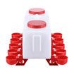 Chicken Water Feeder Auto Chick Waterer Automatic Poultry Dispenser Drinker Hen Watering System Chook Gravity Fed 10 PVC Feeding Cups 10L with Stands