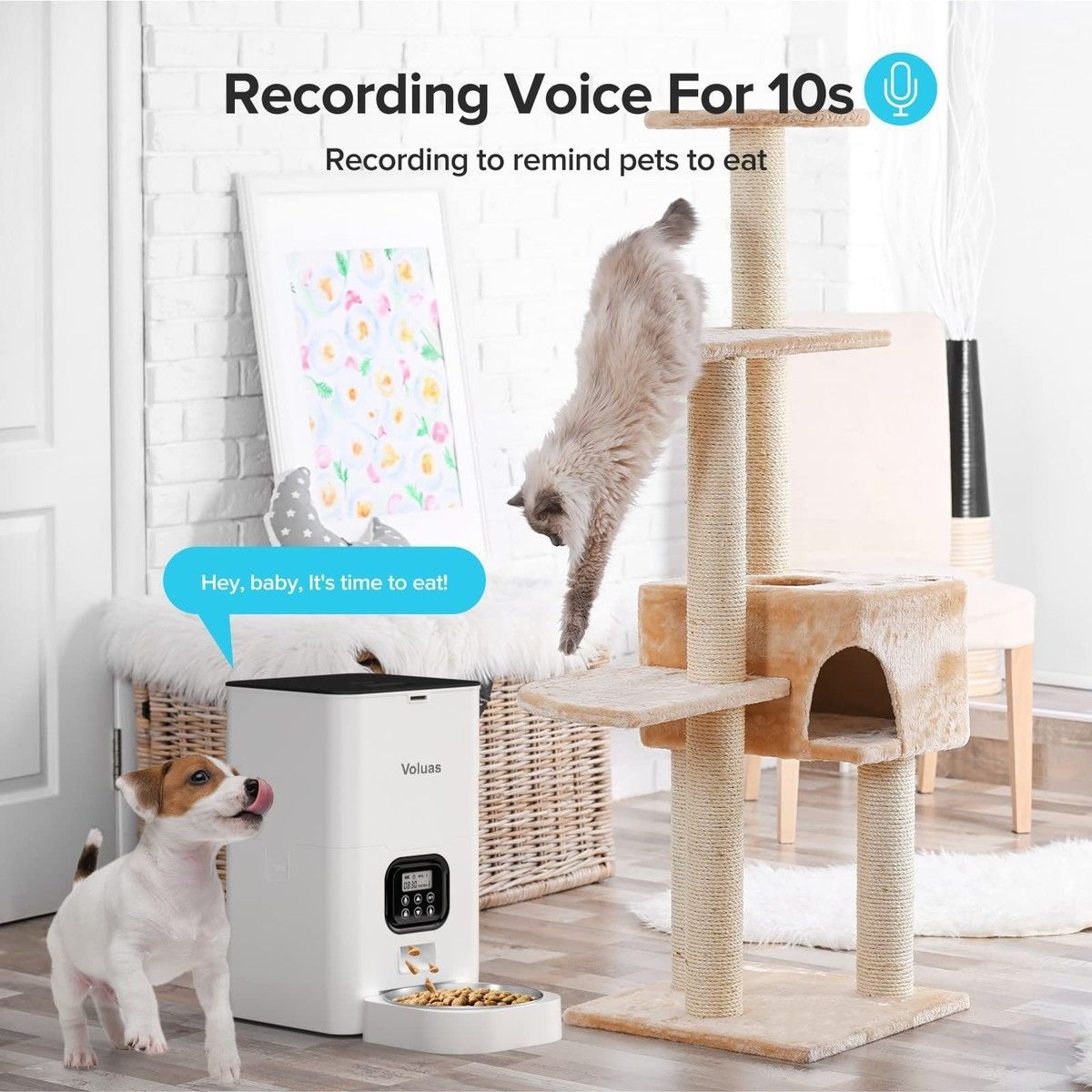 https://img.bestdeals.co.nz/products_pictures/697/69720_665396_F.jpg