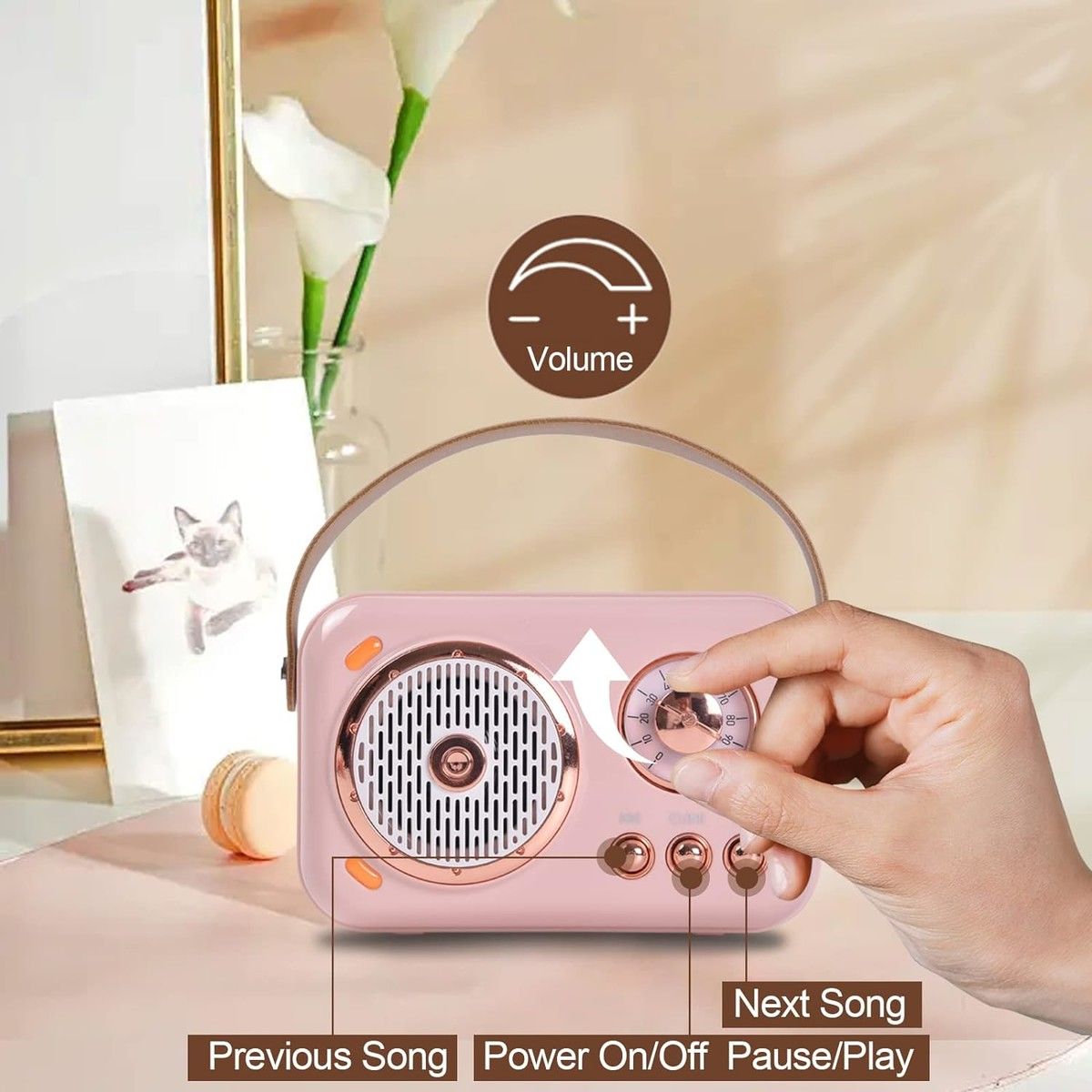 https://img.bestdeals.co.nz/products_pictures/697/69727_665463_F.jpg