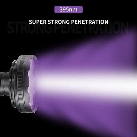 https://img.bestdeals.co.nz/products_pictures/697/69797_666391_F.jpg