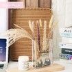 Book Vase for Flowers,Book Lovers Gifts,Aesthetic Room Decor Cute Flower Vase & Must-Have for Home,Bookshelf,Bedroom & Office Decor (Clear)