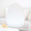 LED Colorful Egg Shaped Night Light USB Charging Desk Lamp Table Lamp for Home Outdoor Bar, 10x15cm