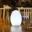 LED Colorful Egg Shaped Night Light USB Charging Desk Lamp Table Lamp for Home Outdoor Bar, 10x15cm