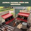 3 Hole Chicken Nesting Box Roll Away Hen Chook Laying Nest Boxes House Coop Roost Perch Poultry Egg Brooder Galvanised Steel Plastic Lid Vents