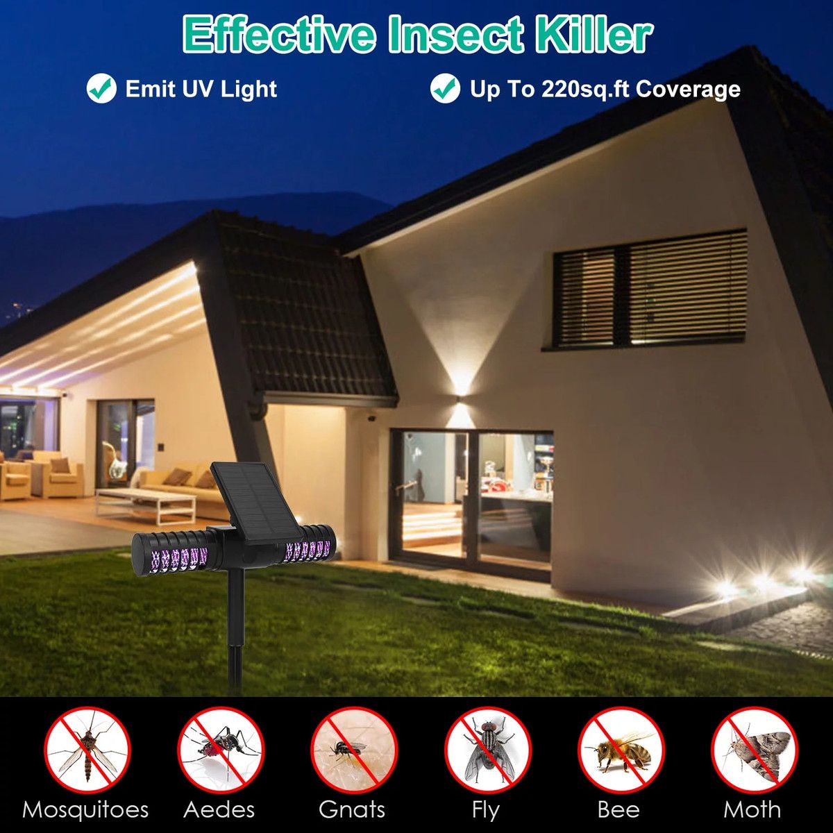 https://img.bestdeals.co.nz/products_pictures/700/70050_668998_F.jpg