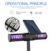 Solar Bug Zapper Light for Outdoor Automatic Operation at Night Perfect for Garden, Backyard, Kitchen, and Camping Effective Mosquito and Fly Trap
