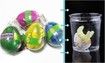 12P Dino Egg Cute Magic Grow in Water Egg Add Water Child Gift Hatching Inflatable Toy(Color Cracks)