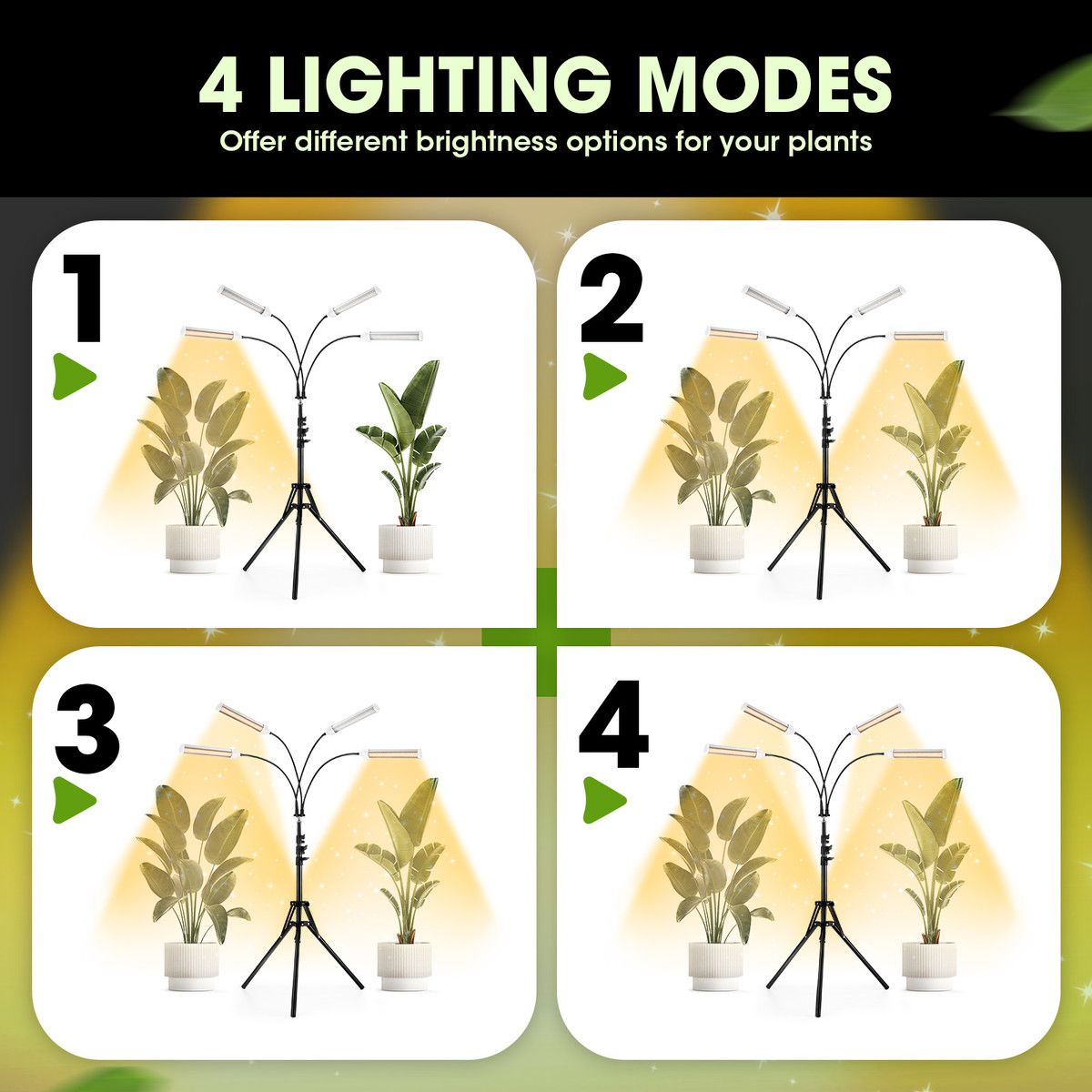 https://img.bestdeals.co.nz/products_pictures/700/70097_669519_F.jpg