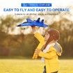 RC Plane Toy Remote Control Airplane Easy Fly Jet Night Lights RTF SU35 Model 2CH 2.4GHz USB Charging Blue Beginner Kids Outdoor Adventure