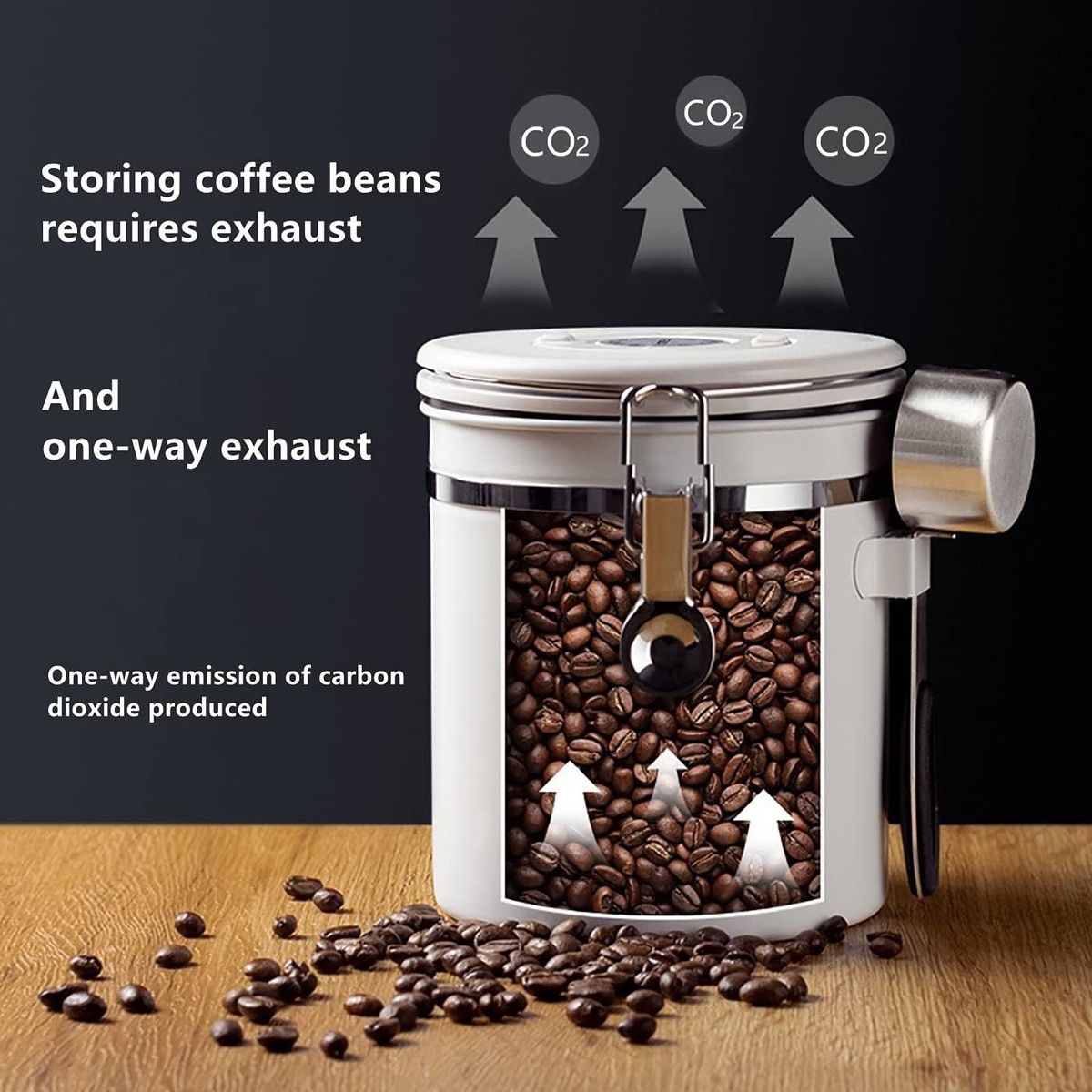 https://img.bestdeals.co.nz/products_pictures/703/70393_672488_F.jpg