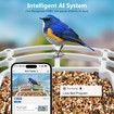 Bird Feeder with Camera Solar Powered,Outdoor Smart Bird Feeder,4 MP HD Auto Capture Bird Videos,Real Time Views and Notifications,Ideal Gift for Bird Lovers (Blue)