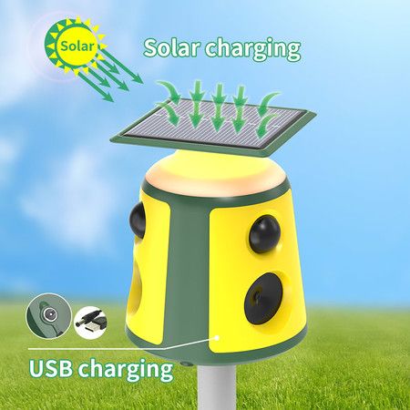 https://img.bestdeals.co.nz/products_pictures/704/70497_673523_F.jpg