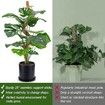 2 Pack Moss Pole,28 Inch Bendable Moss Pole for Plants Monstera,Moss Poles for Climbing Plants Indoor,Coir Plant Pole Sticks Support Stakes