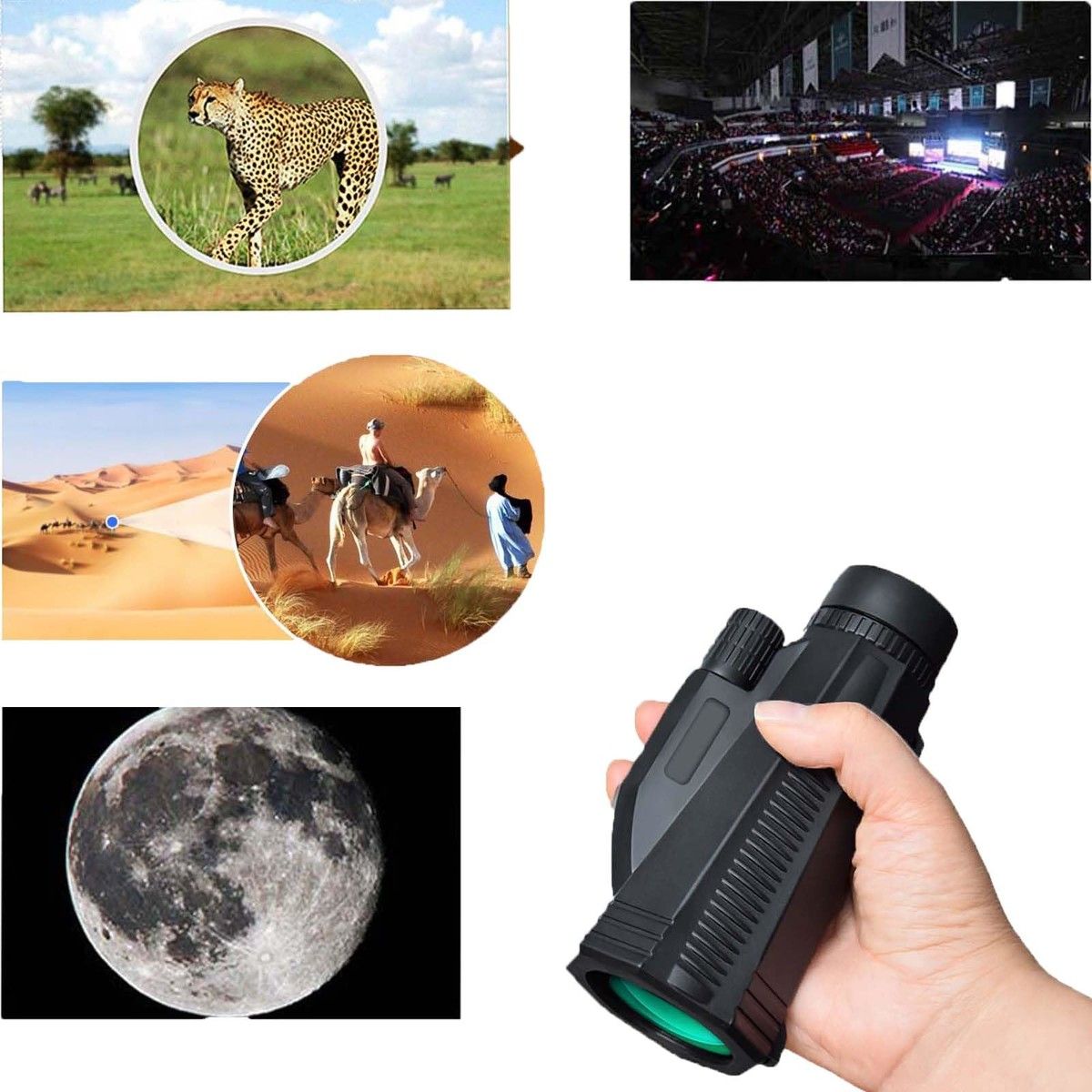 https://img.bestdeals.co.nz/products_pictures/705/70537_673896_F.jpg