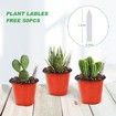 4" Small Plastic Plant Nursery Pot/Pots Seedlings Flower Plant Container Seed Starting Pots Indoor Outdoor (50pcs Pots and 50pcs Plant Labels)