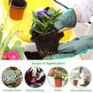 4" Small Plastic Plant Nursery Pot/Pots Seedlings Flower Plant Container Seed Starting Pots Indoor Outdoor (50pcs Pots and 50pcs Plant Labels)