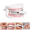 Denture Bath Box Cup,Portable Denture Case with Strainer Basket,False Teeth Storage Box Holder, Blue