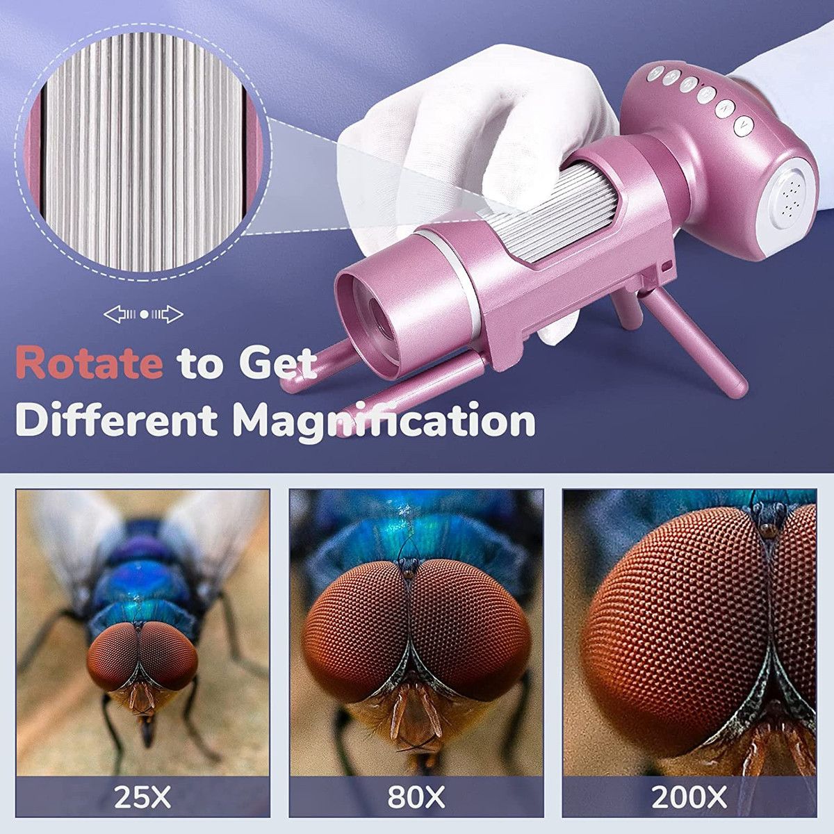 https://img.bestdeals.co.nz/products_pictures/705/70597_674495_F.jpg