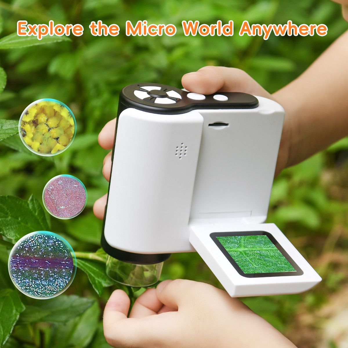 https://img.bestdeals.co.nz/products_pictures/705/70599_674514_F.jpg